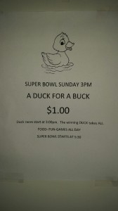 Buck a Duck